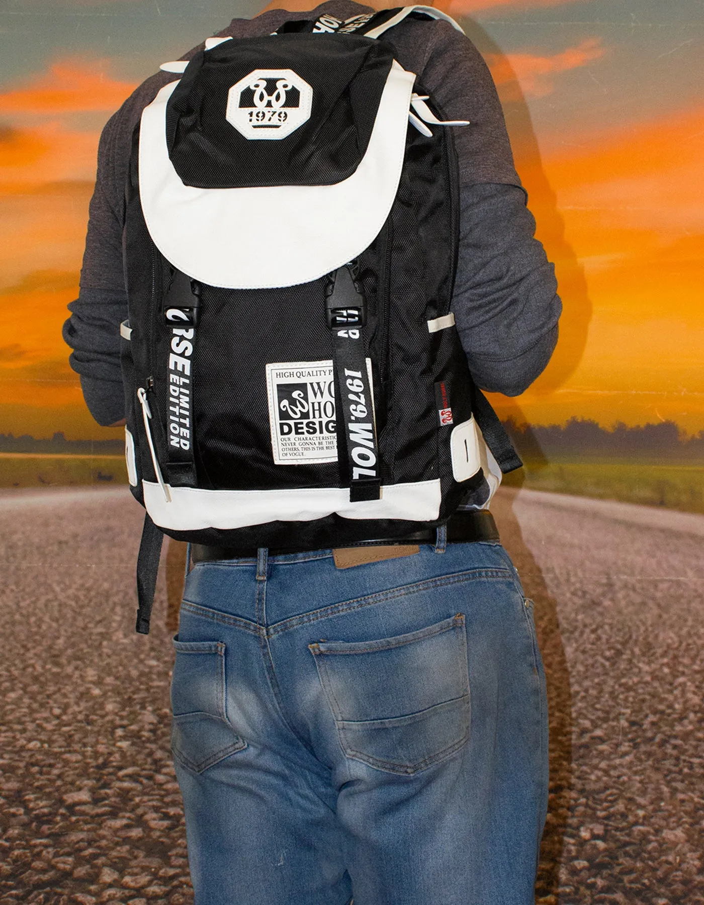 Fino K20 Unisex 22L Wolf Horse 15 inch Laptop Backpack