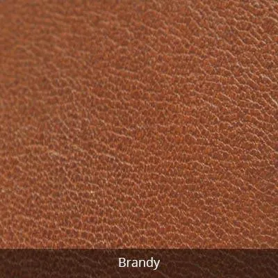 Osgoode Marley Messenger Bag